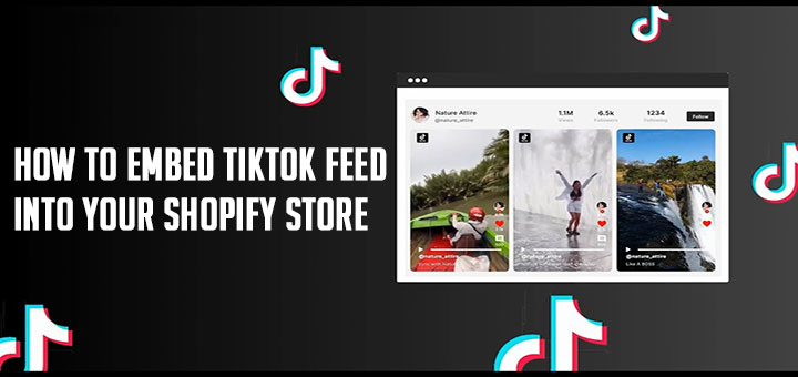 How To Embed TikTok Feed Into Your Shopify Store - Hura Tips